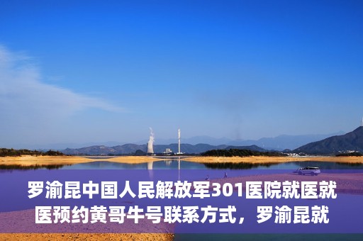 罗渝昆中国人民解放军301医院就医就医预约黄哥牛号联系方式，罗渝昆就医之路，中国人民解放军301医院预约挂号攻略及联系方式揭秘