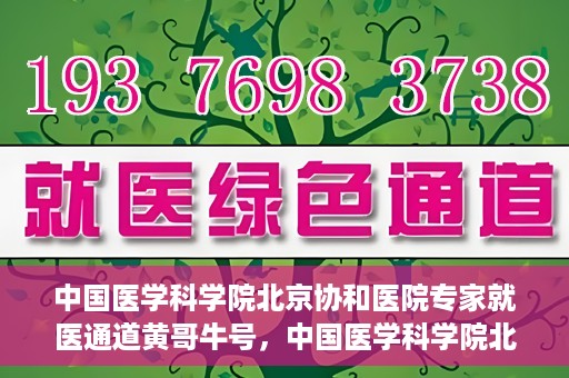 中国医学科学院北京协和医院专家就医通道黄哥牛号，中国医学科学院北京协和医院专家就医绿色通道解析——黄哥牛号揭秘