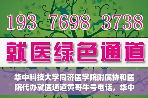 华中科技大学同济医学院附属协和医院代办就医通道黄哥牛号电话，华中科技大学同济医学院附属协和医院代办就医通道揭秘，黄哥牛号联系电话曝光