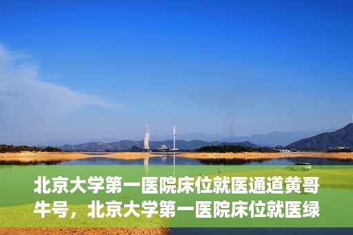 北京大学第一医院床位就医通道黄哥牛号，北京大学第一医院床位就医绿色通道，黄哥牛号床位预约攻略
