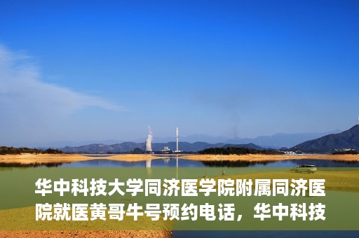 华中科技大学同济医学院附属同济医院就医黄哥牛号预约电话，华中科技大学同济医院就医黄哥牛号预约热线解析