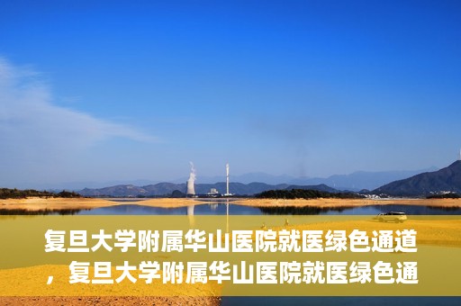 复旦大学附属华山医院就医绿色通道，复旦大学附属华山医院就医绿色通道，打造便捷医疗体验新标杆