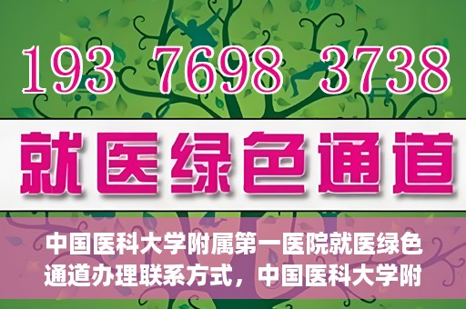 中国医科大学附属第一医院就医绿色通道办理联系方式，中国医科大学附属第一医院就医绿色通道联系指南，快速办理就医手续，轻松享受优质服务！