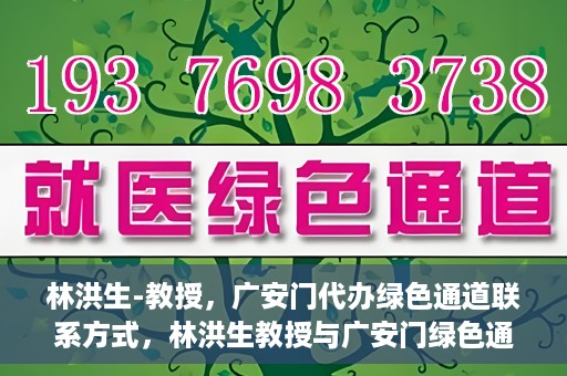 林洪生-教授，广安门代办绿色通道联系方式，林洪生教授与广安门绿色通道，联系方式揭秘