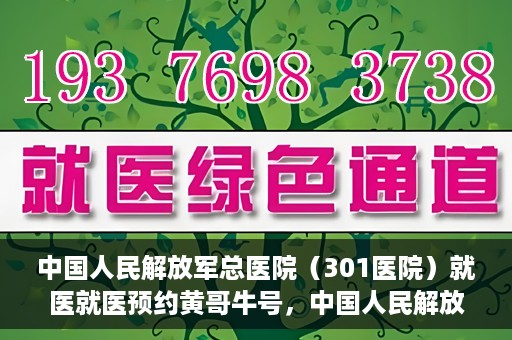 中国人民解放军总医院（301医院）就医就医预约黄哥牛号，中国人民解放军总医院（301医院）黄哥牛号就医预约攻略
