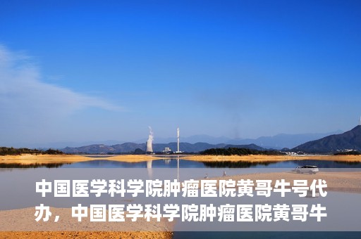 中国医学科学院肿瘤医院黄哥牛号代办，中国医学科学院肿瘤医院黄哥牛号挂号代办服务解析