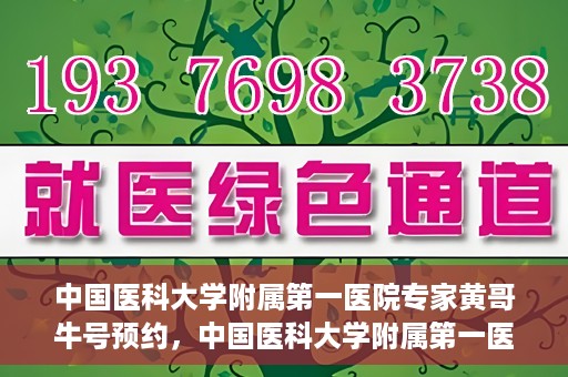 中国医科大学附属第一医院专家黄哥牛号预约，中国医科大学附属第一医院专家黄哥牛预约挂号攻略