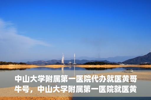 中山大学附属第一医院代办就医黄哥牛号，中山大学附属第一医院就医黄哥牛号代办攻略