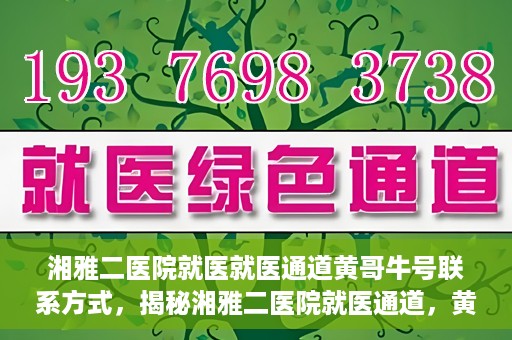 湘雅二医院就医就医通道黄哥牛号联系方式，揭秘湘雅二医院就医通道，黄哥牛号联系方式及就医指南