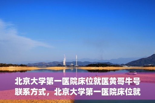 北京大学第一医院床位就医黄哥牛号联系方式，北京大学第一医院床位就医攻略，黄哥牛号联系方式全解析