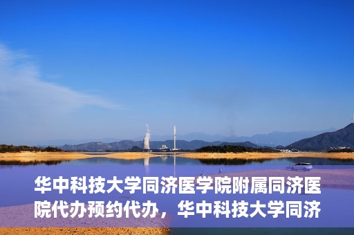 华中科技大学同济医学院附属同济医院代办预约代办，华中科技大学同济医学院附属同济医院预约代办服务详解