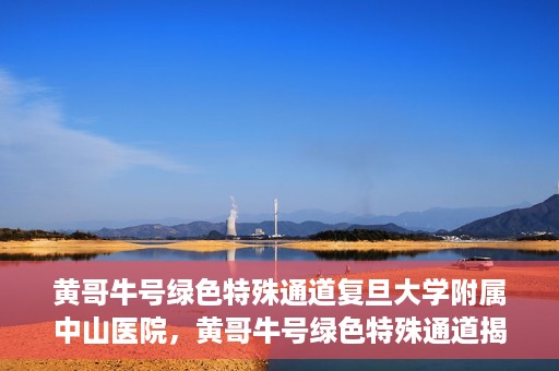 黄哥牛号绿色特殊通道复旦大学附属中山医院，黄哥牛号绿色特殊通道揭秘，复旦大学附属中山医院的独特之处