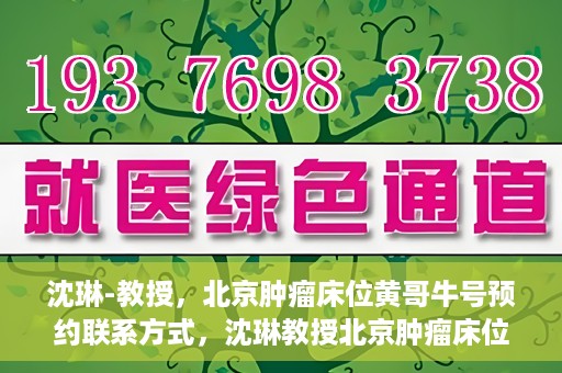 沈琳-教授，北京肿瘤床位黄哥牛号预约联系方式，沈琳教授北京肿瘤床位预约联系方式及黄哥牛号指南