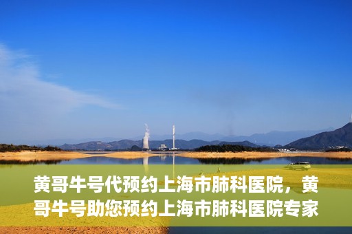 黄哥牛号代预约上海市肺科医院，黄哥牛号助您预约上海市肺科医院专家号