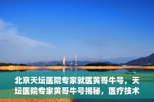 北京天坛医院专家就医黄哥牛号，天坛医院专家黄哥牛号揭秘，医疗技术与人文关怀并重