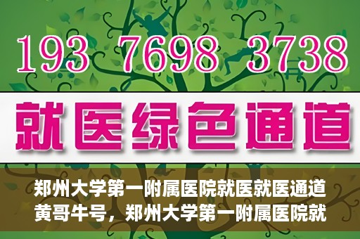 郑州大学第一附属医院就医就医通道黄哥牛号，郑州大学第一附属医院就医通道解析，黄哥牛号的实践之路
