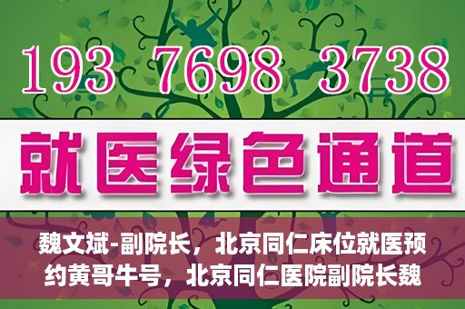 魏文斌-副院长，北京同仁床位就医预约黄哥牛号，北京同仁医院副院长魏文斌揭秘床位预约秘籍——黄哥牛号引领就医新风尚