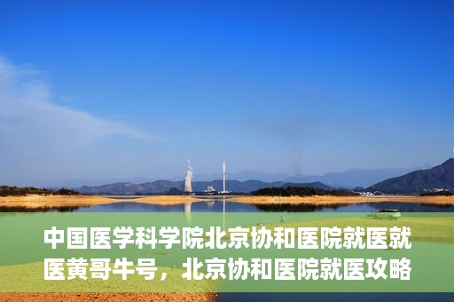 中国医学科学院北京协和医院就医就医黄哥牛号，北京协和医院就医攻略，黄哥牛号助您轻松挂号就医