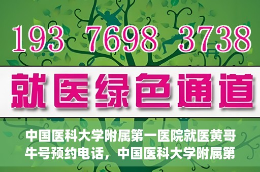 中国医科大学附属第一医院就医黄哥牛号预约电话，中国医科大学附属第一医院就医预约电话及黄哥牛号预约攻略