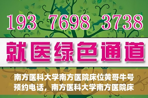 南方医科大学南方医院床位黄哥牛号预约电话，南方医科大学南方医院床位预约电话及黄哥牛号预约攻略