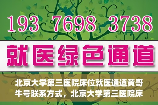 北京大学第三医院床位就医通道黄哥牛号联系方式，北京大学第三医院床位就医通道详解，黄哥牛号联系方式揭秘