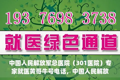 中国人民解放军总医院（301医院）专家就医黄哥牛号电话，中国人民解放军总医院（301医院）黄哥牛号电话专家就医攻略