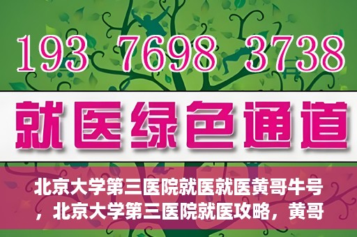 北京大学第三医院就医就医黄哥牛号，北京大学第三医院就医攻略，黄哥牛号助您轻松挂号就医