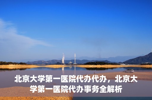 北京大学第一医院代办代办，北京大学第一医院代办事务全解析
