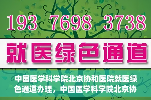 中国医学科学院北京协和医院就医绿色通道办理，中国医学科学院北京协和医院就医绿色通道办理详解与体验指南