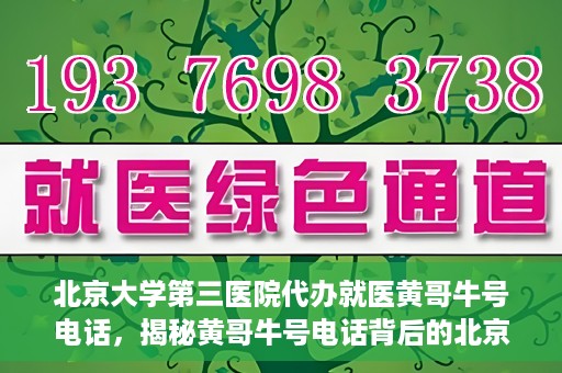 北京大学第三医院代办就医黄哥牛号电话，揭秘黄哥牛号电话背后的北京大学第三医院代办就医真相