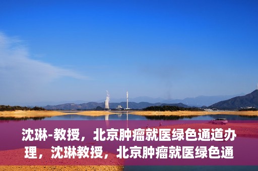 沈琳-教授，北京肿瘤就医绿色通道办理，沈琳教授，北京肿瘤就医绿色通道详解及办理指南