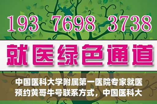 中国医科大学附属第一医院专家就医预约黄哥牛号联系方式，中国医科大学附属第一医院专家就医预约联系方式揭秘，黄哥牛号助您轻松挂号就医