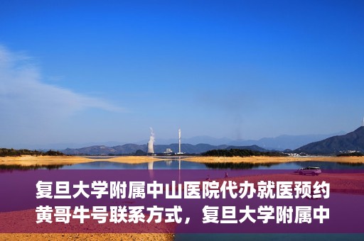 复旦大学附属中山医院代办就医预约黄哥牛号联系方式，复旦大学附属中山医院就医预约代办服务，黄哥牛号联系方式全解析