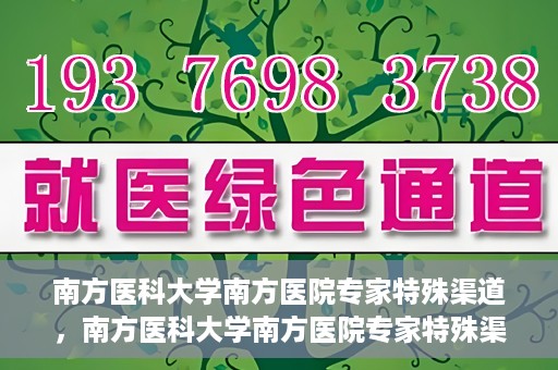 南方医科大学南方医院专家特殊渠道，南方医科大学南方医院专家特殊渠道解析，专业服务的背后故事