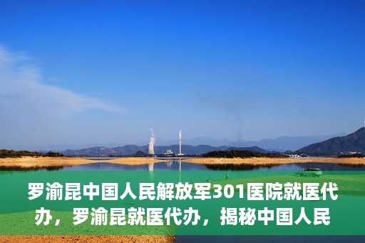 罗渝昆中国人民解放军301医院就医代办，罗渝昆就医代办，揭秘中国人民解放军301医院的医疗代办服务之路