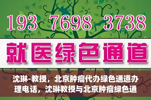 沈琳-教授，北京肿瘤代办绿色通道办理电话，沈琳教授与北京肿瘤绿色通道，快速办理电话指南