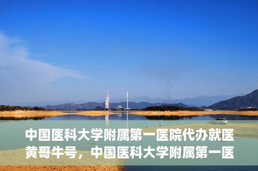 中国医科大学附属第一医院代办就医黄哥牛号，中国医科大学附属第一医院就医代办黄哥牛号服务解析