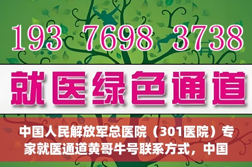 中国人民解放军总医院（301医院）专家就医通道黄哥牛号联系方式，中国人民解放军总医院专家就医通道黄哥牛号联系方式揭秘，权威医疗资源的便捷通道探索