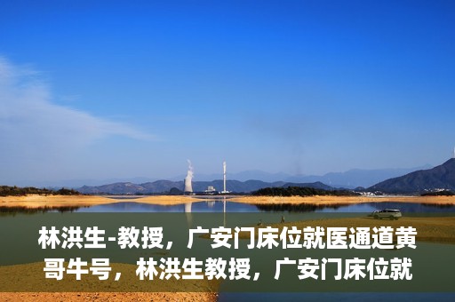 林洪生-教授，广安门床位就医通道黄哥牛号，林洪生教授，广安门床位就医绿色通道揭秘——黄哥牛号引领就医新纪元