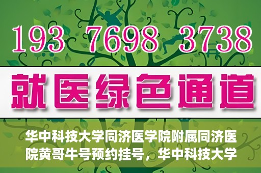 华中科技大学同济医学院附属同济医院黄哥牛号预约挂号，华中科技大学同济医院黄哥牛号预约挂号攻略
