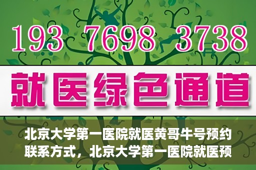 北京大学第一医院就医黄哥牛号预约联系方式，北京大学第一医院就医预约攻略，黄哥牛号预约联系方式揭秘