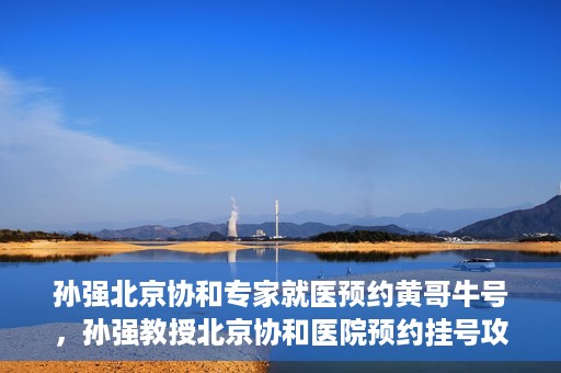 孙强北京协和专家就医预约黄哥牛号，孙强教授北京协和医院预约挂号攻略，黄哥牛号助您轻松就医