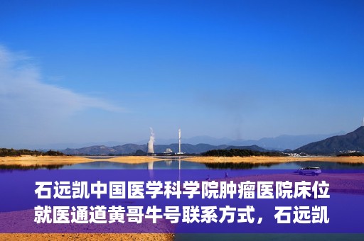 石远凯中国医学科学院肿瘤医院床位就医通道黄哥牛号联系方式，石远凯教授，中国医学科学院肿瘤医院床位就医指南与联系方式揭秘