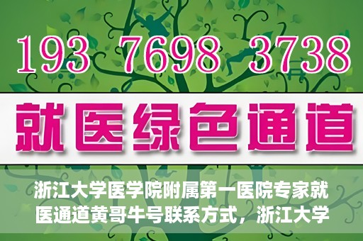 浙江大学医学院附属第一医院专家就医通道黄哥牛号联系方式，浙江大学医学院附属第一医院专家就医通道，黄哥牛号联系方式全解析