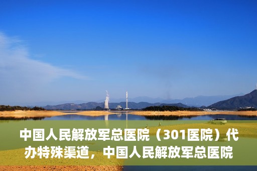 中国人民解放军总医院（301医院）代办特殊渠道，中国人民解放军总医院（301医院）特殊渠道代办服务解析