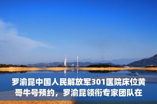 罗渝昆中国人民解放军301医院床位黄哥牛号预约，罗渝昆领衔专家团队在解放军301医院床位预约揭秘，黄哥牛号预约攻略揭秘