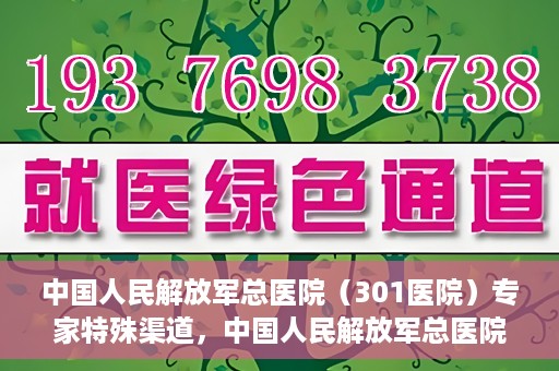 中国人民解放军总医院（301医院）专家特殊渠道，中国人民解放军总医院（301医院）专家特殊渠道揭秘，权威医疗资源的独特对接方式