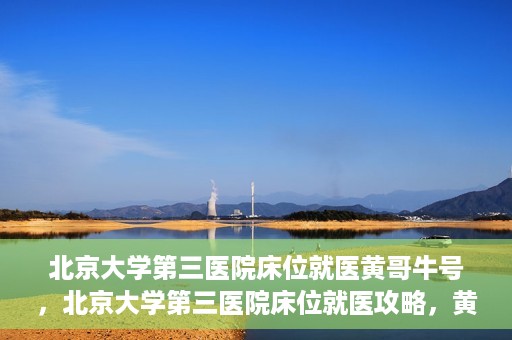 北京大学第三医院床位就医黄哥牛号，北京大学第三医院床位就医攻略，黄哥牛号助您轻松挂号就医