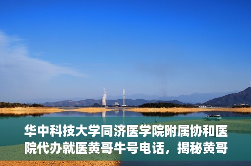 华中科技大学同济医学院附属协和医院代办就医黄哥牛号电话，揭秘黄哥牛号电话背后的华中科技大学同济医学院附属协和医院代办就医服务内幕