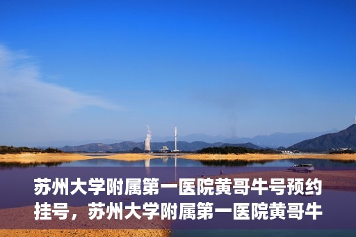 苏州大学附属第一医院黄哥牛号预约挂号，苏州大学附属第一医院黄哥牛号，预约挂号攻略